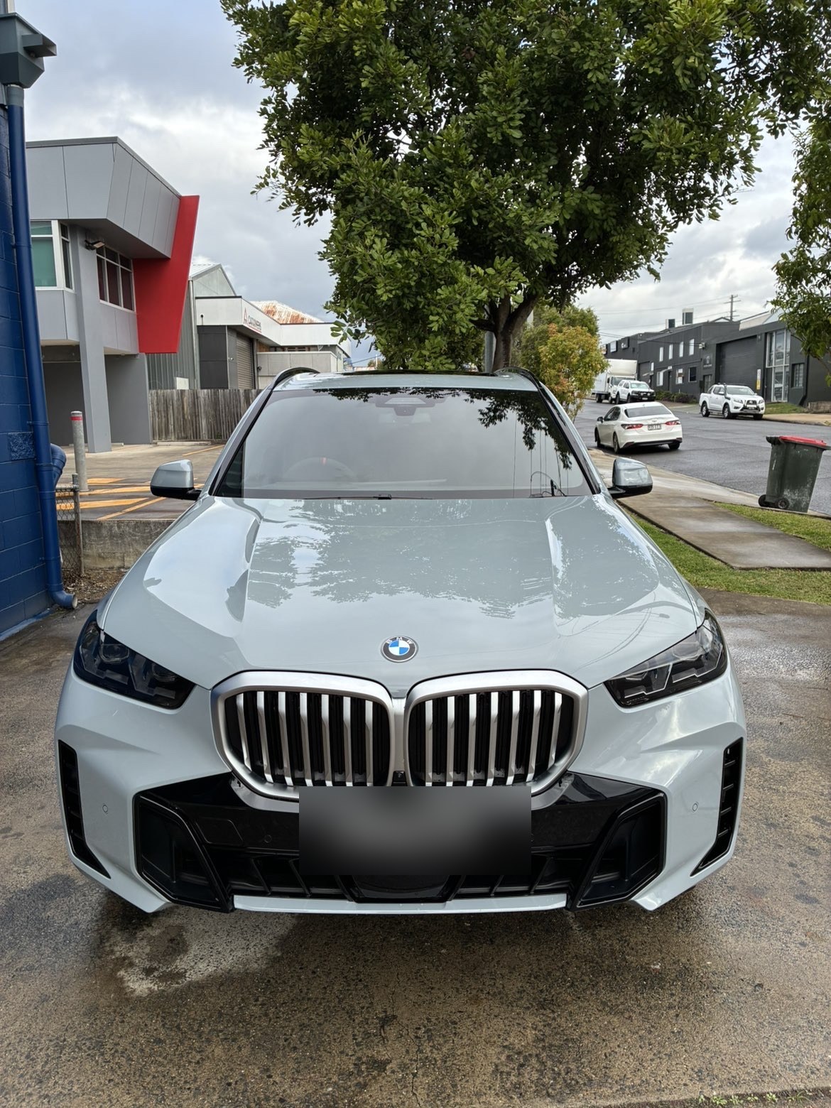 BMW X5 front grille — gloss finish after detail